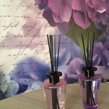 Le Ortensie Bed & Breakfast Fiumicino