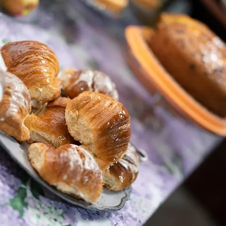 Le Ortensie Bed & Breakfast Fiumicino